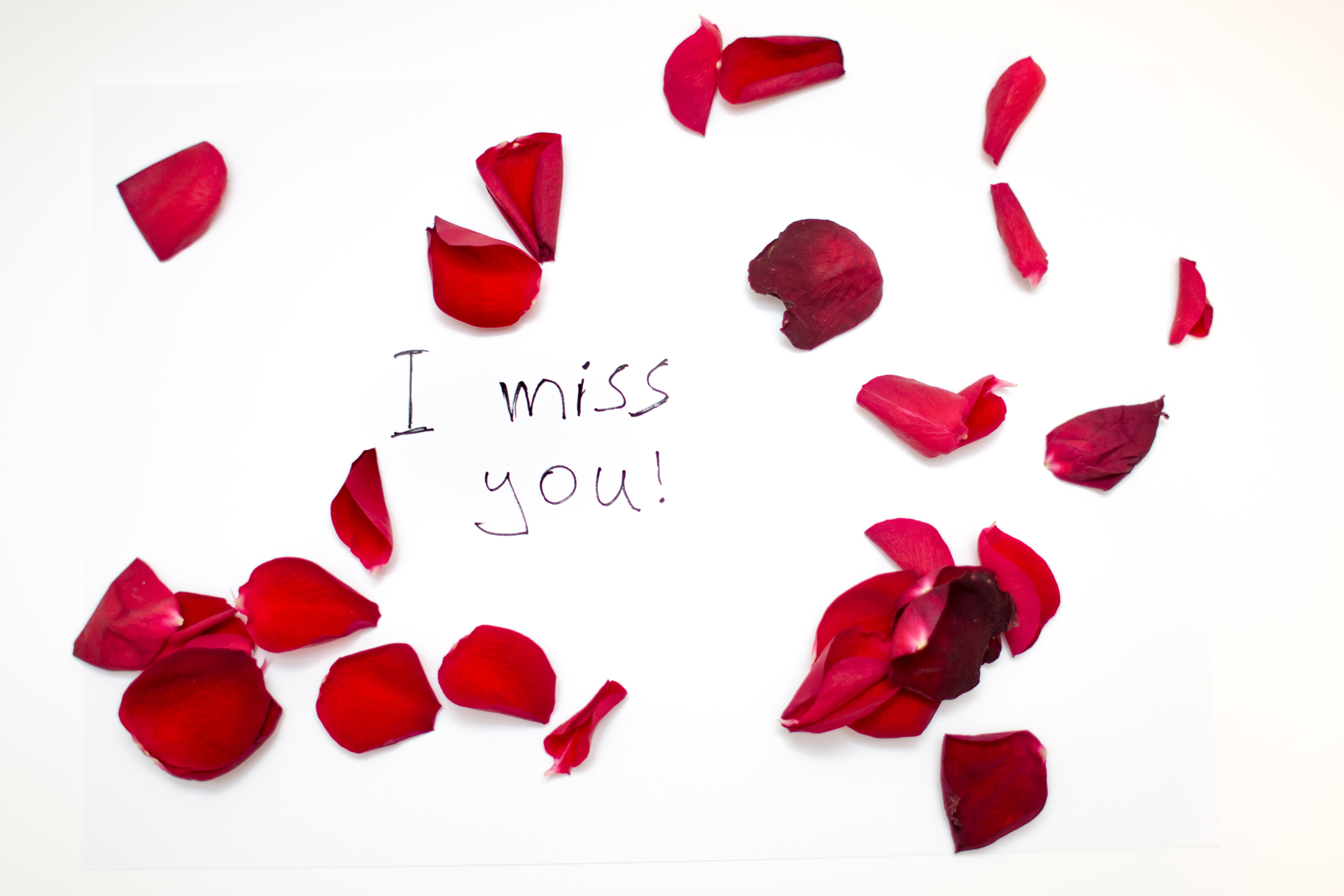 Foap Com Red Rose Petals With Love Word Text Message Isolated In Red Rose Petals With Love Word Text Message Isolated In White Background