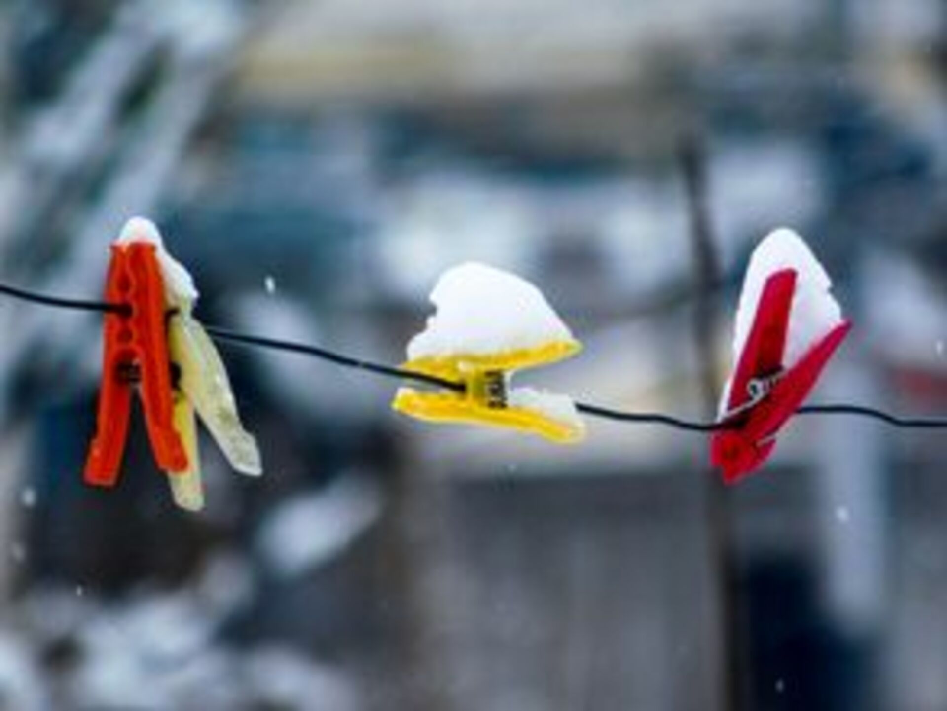 Battle: Winter vs. Spring  example photo