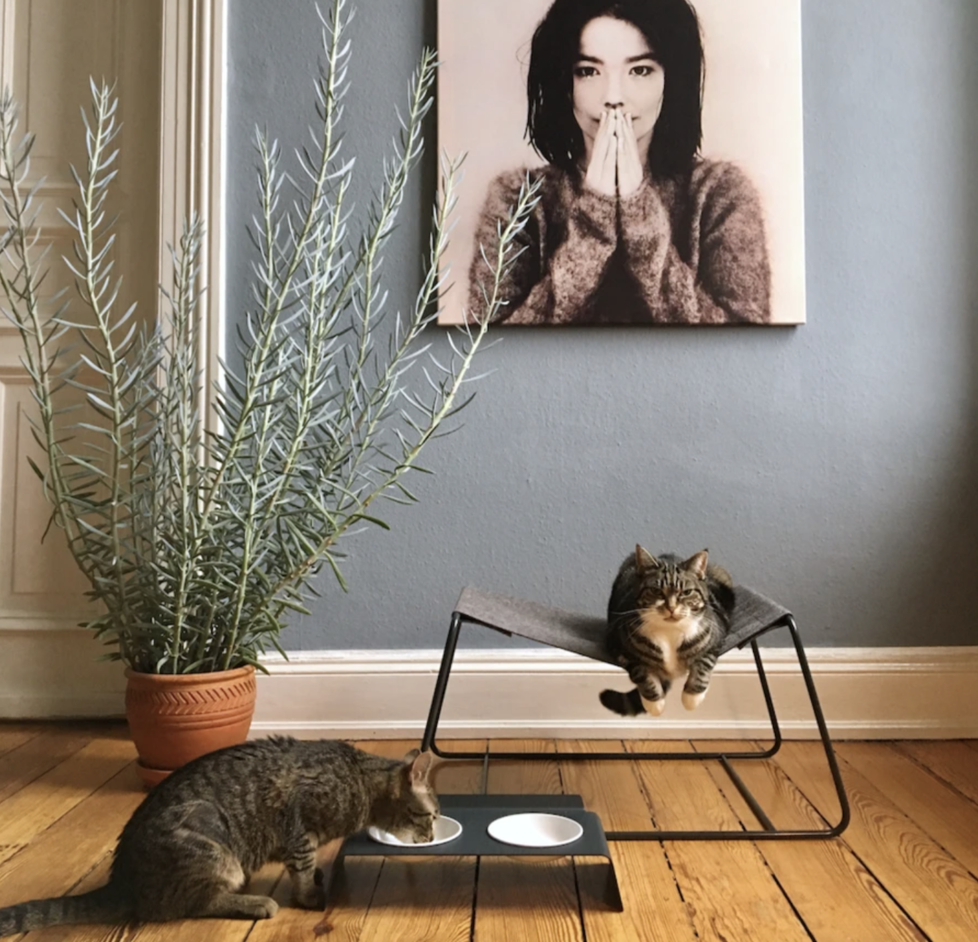 Duo Dining Station example photo