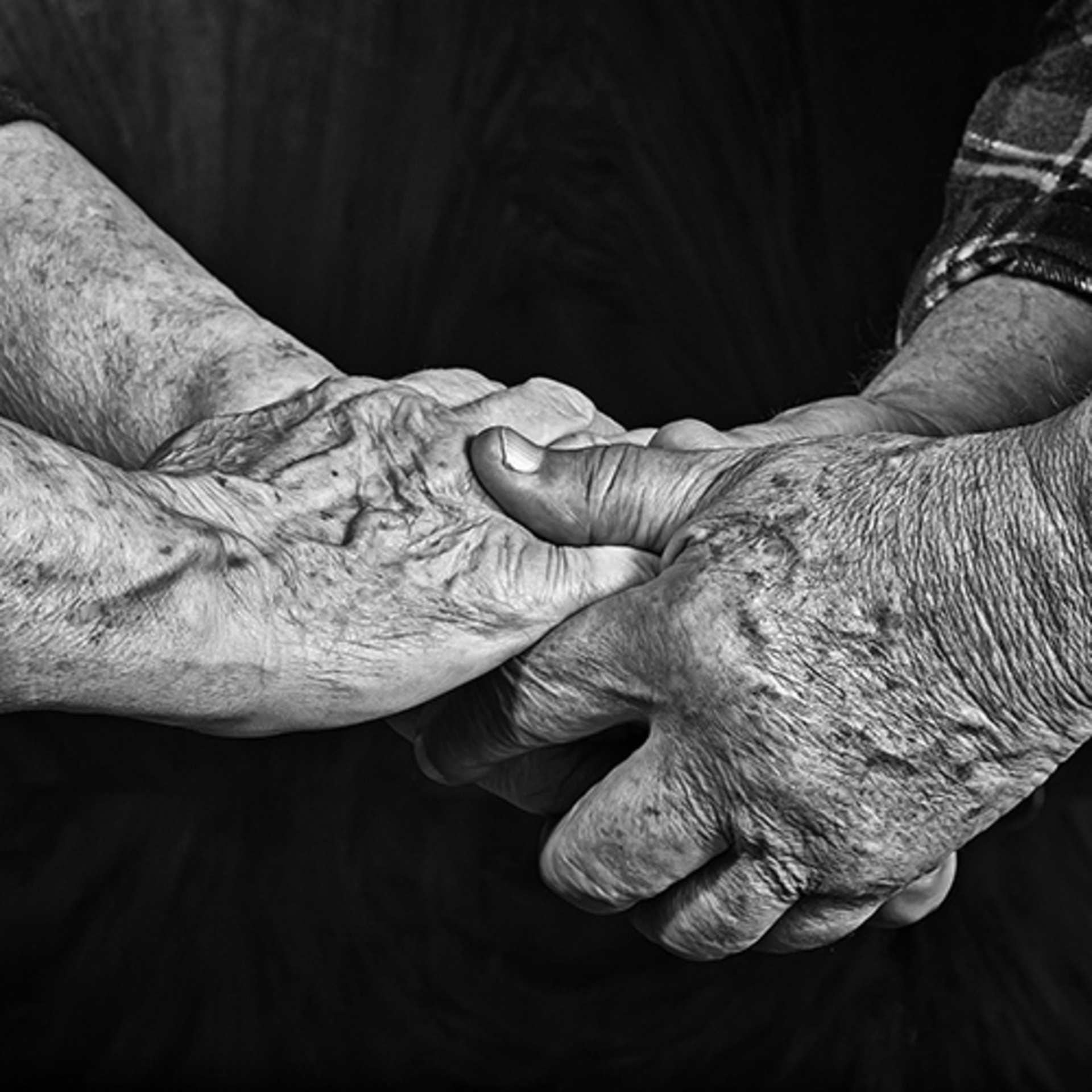 Tenderness Series: Couples example photo