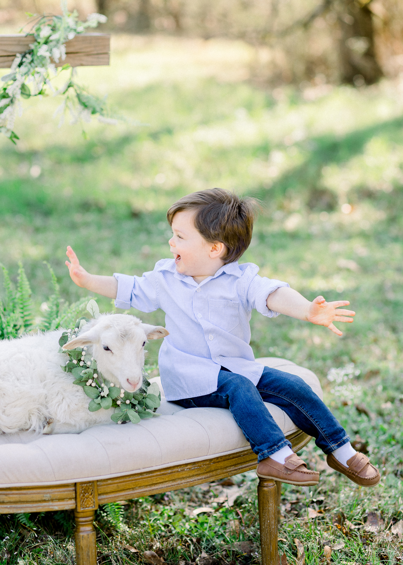 Upload your Photo of the Week                 example photo