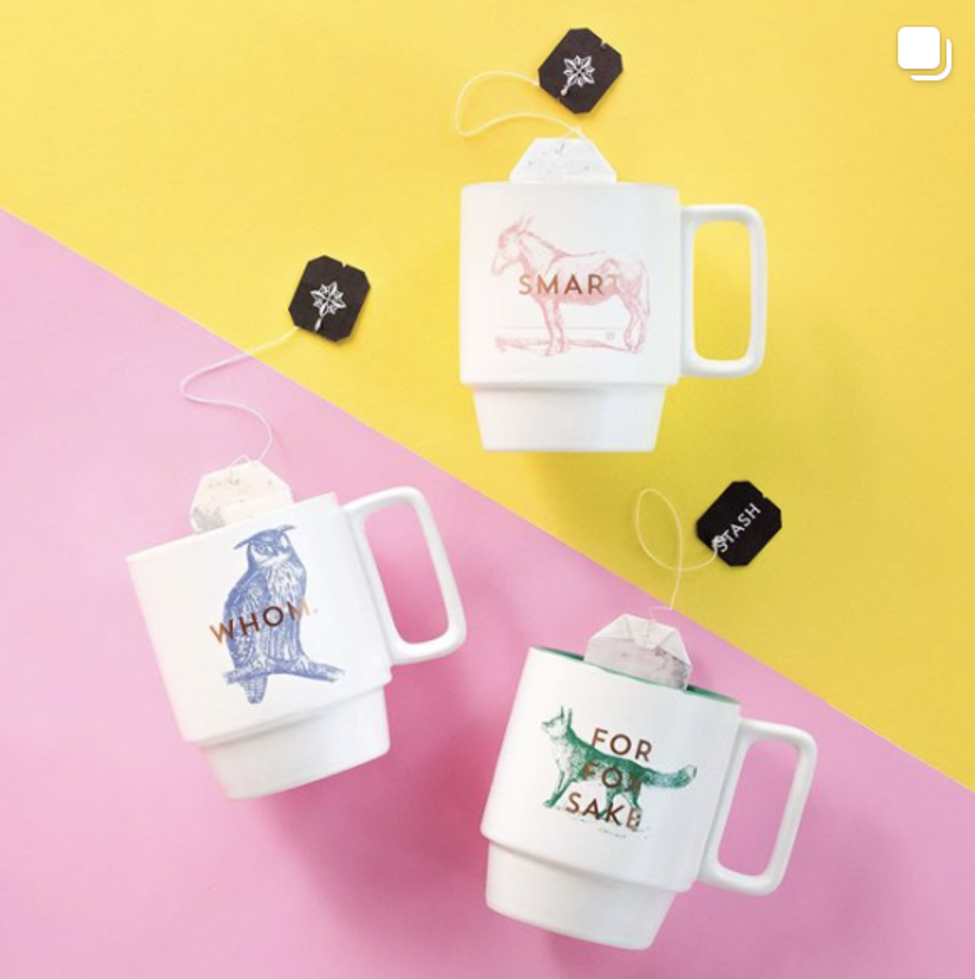 Brew Bold and Bright with Stash Tea example photo