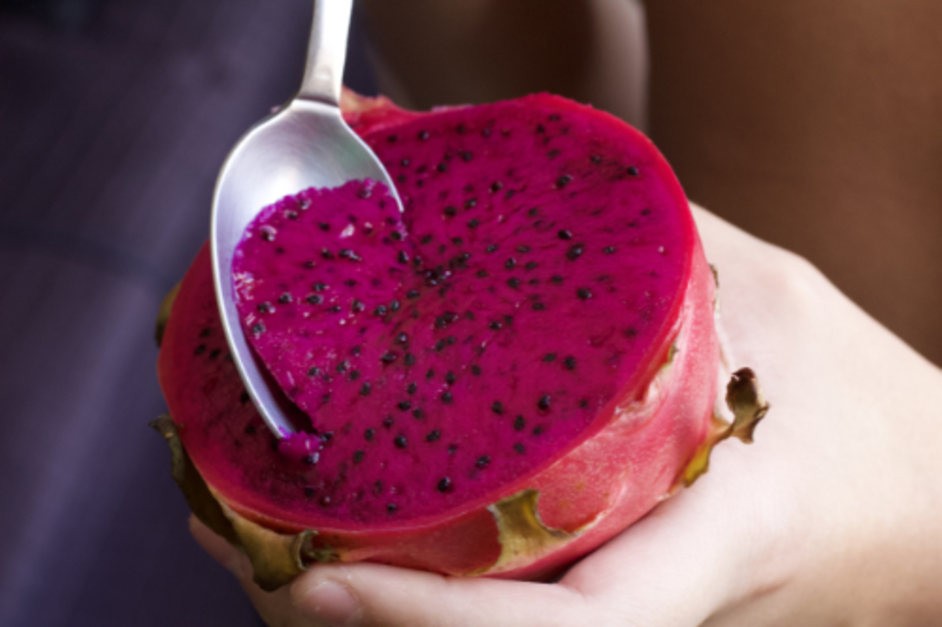 Viva Magenta! Pantone's Color of the Year 2023 example photo