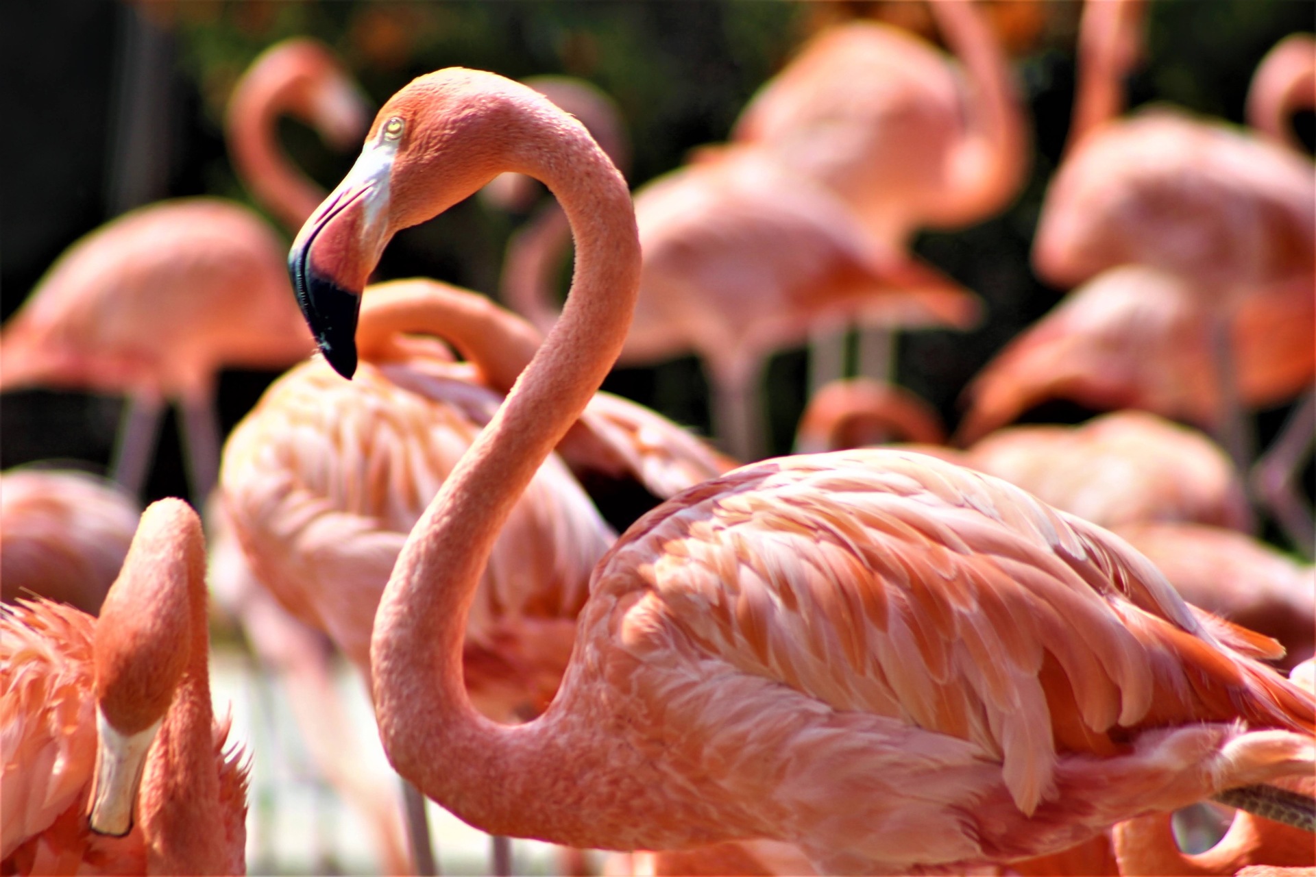 Editors' Choice: Photo of the Week example photo