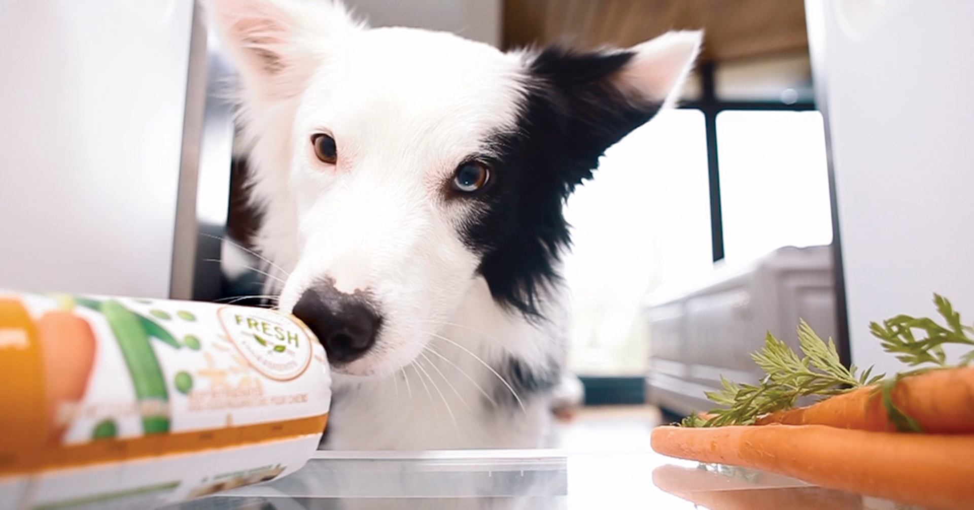 Real fresh pet food! with Freshpet example photo