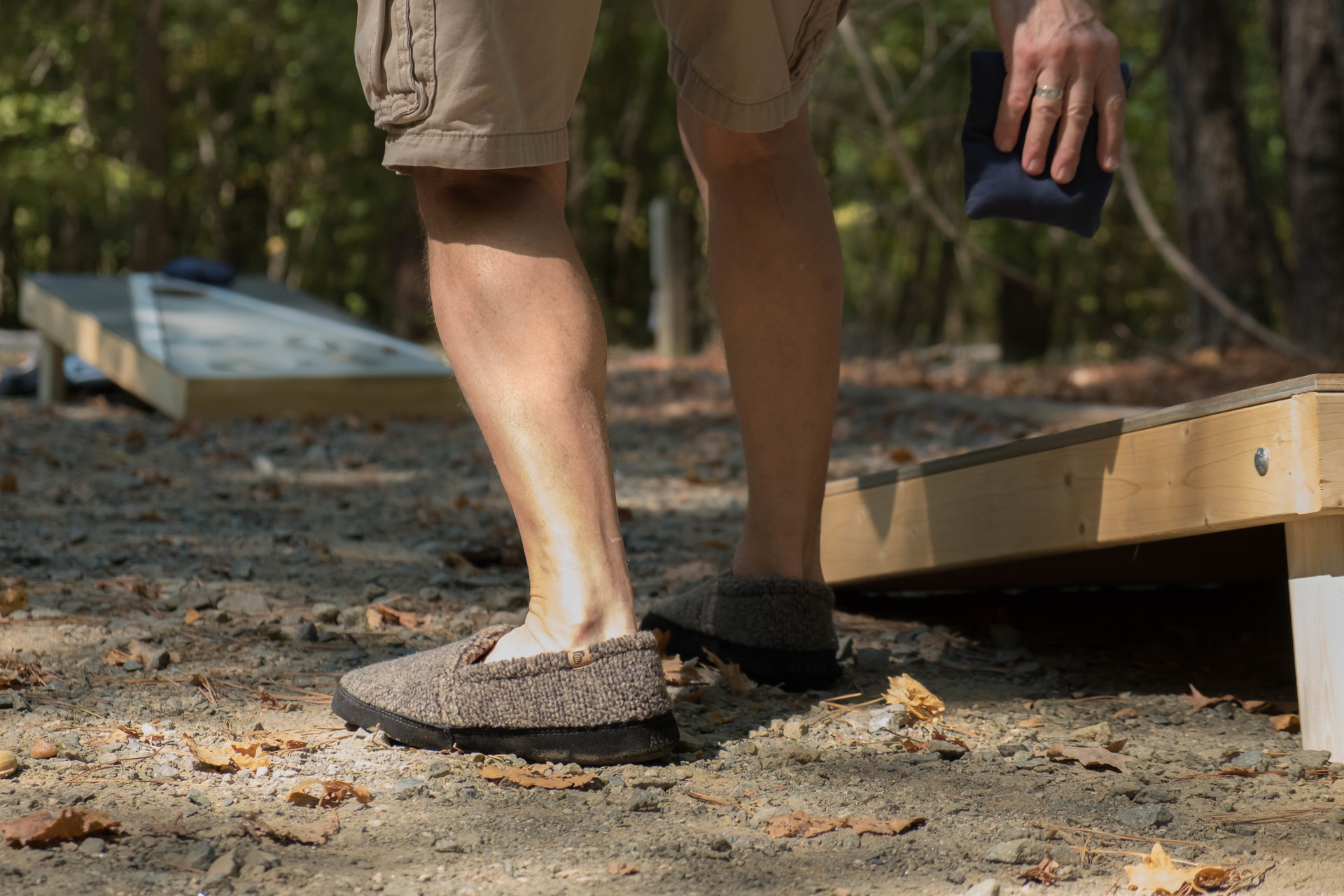 Spring in Nature example photo