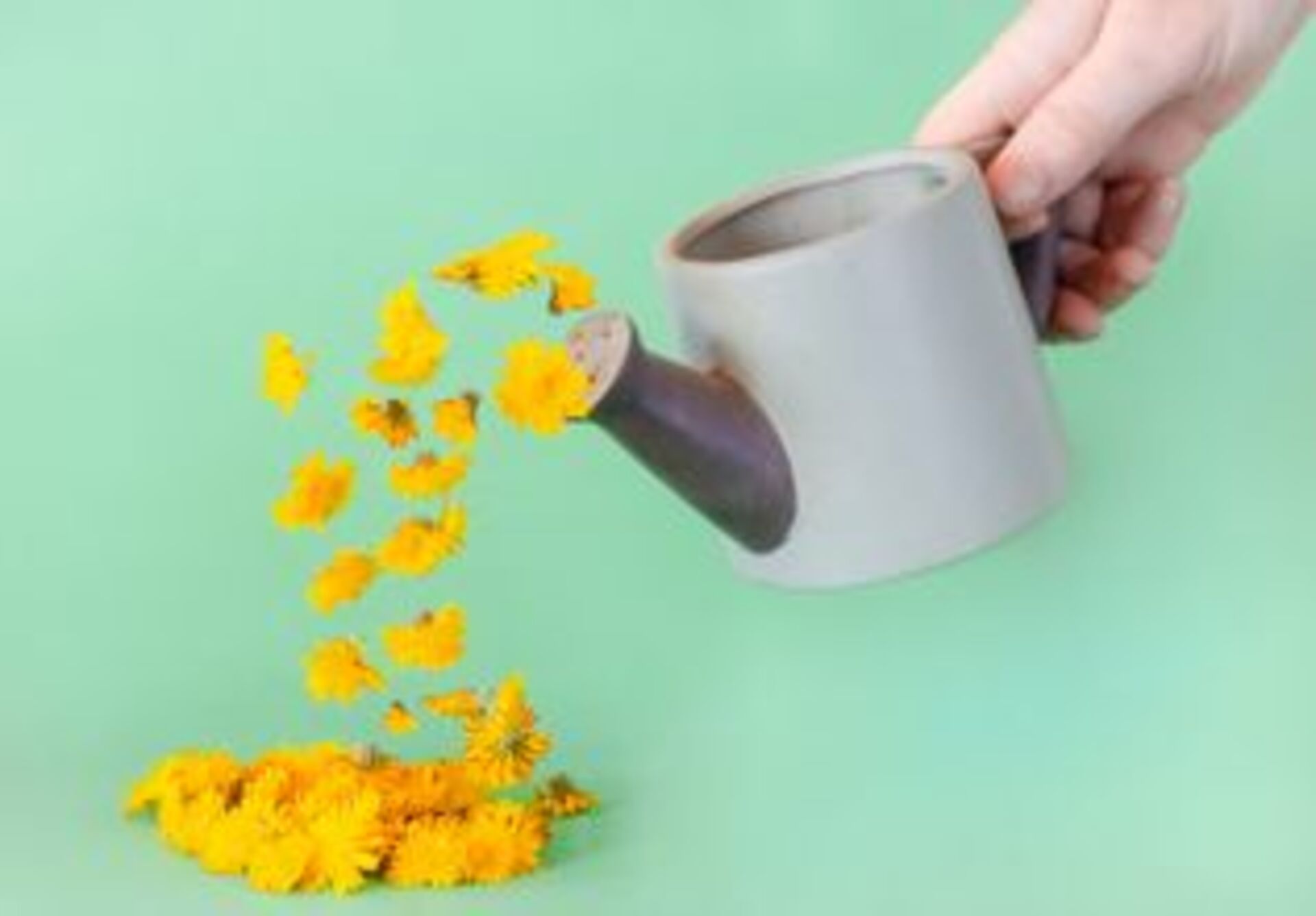 Battle: Winter vs. Spring example photo