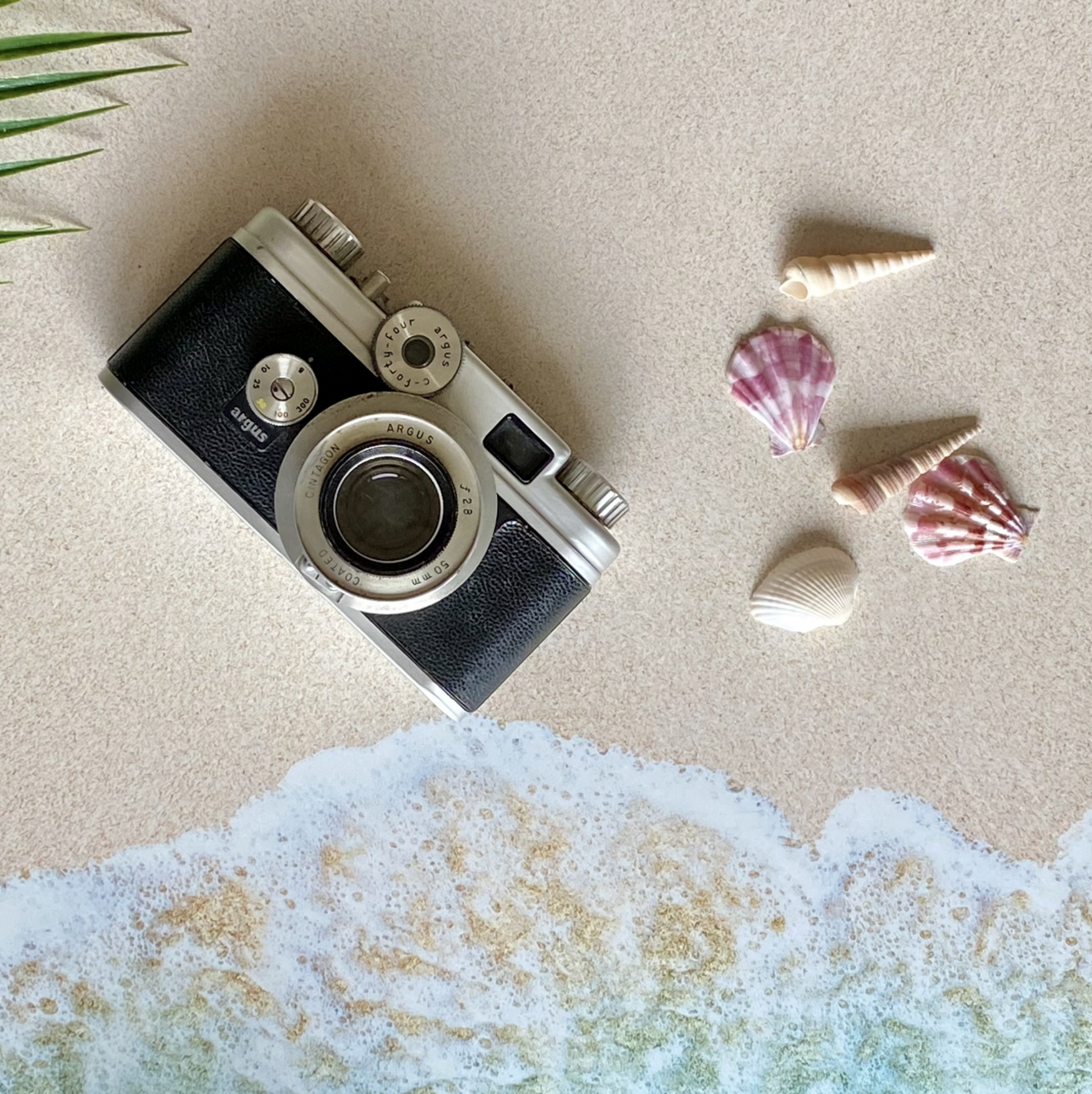 The Foap Show example photo