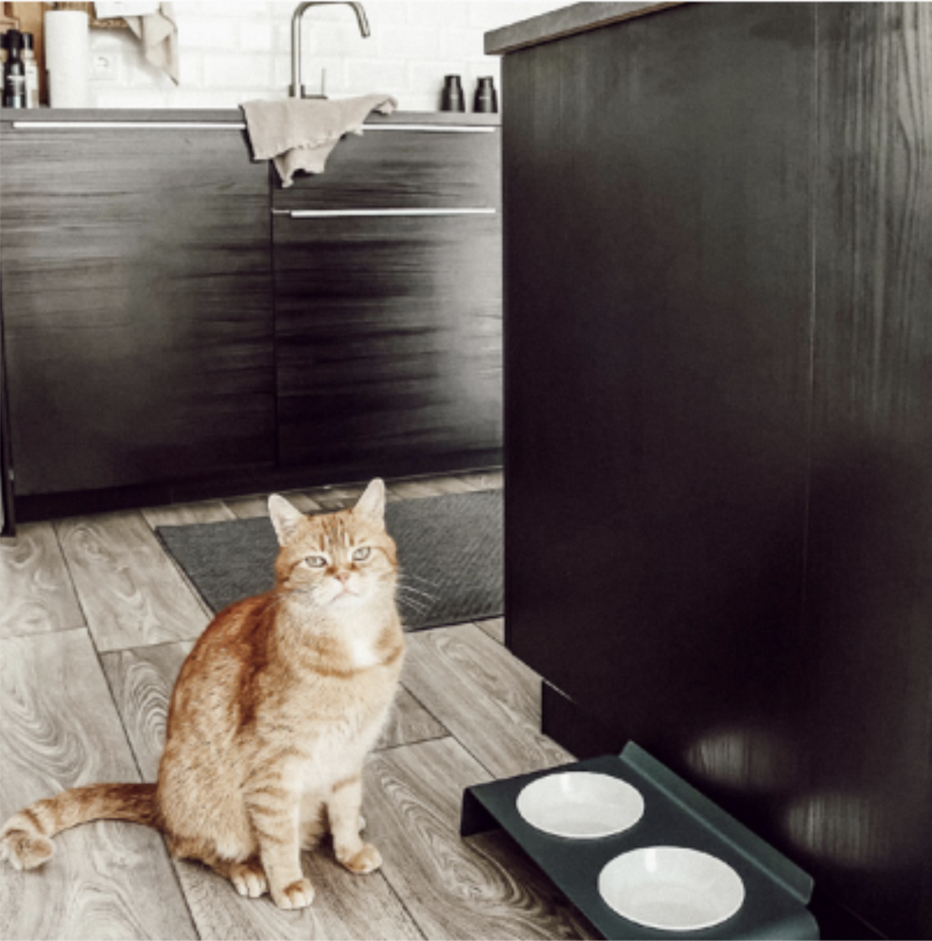 Duo Dining Station example photo