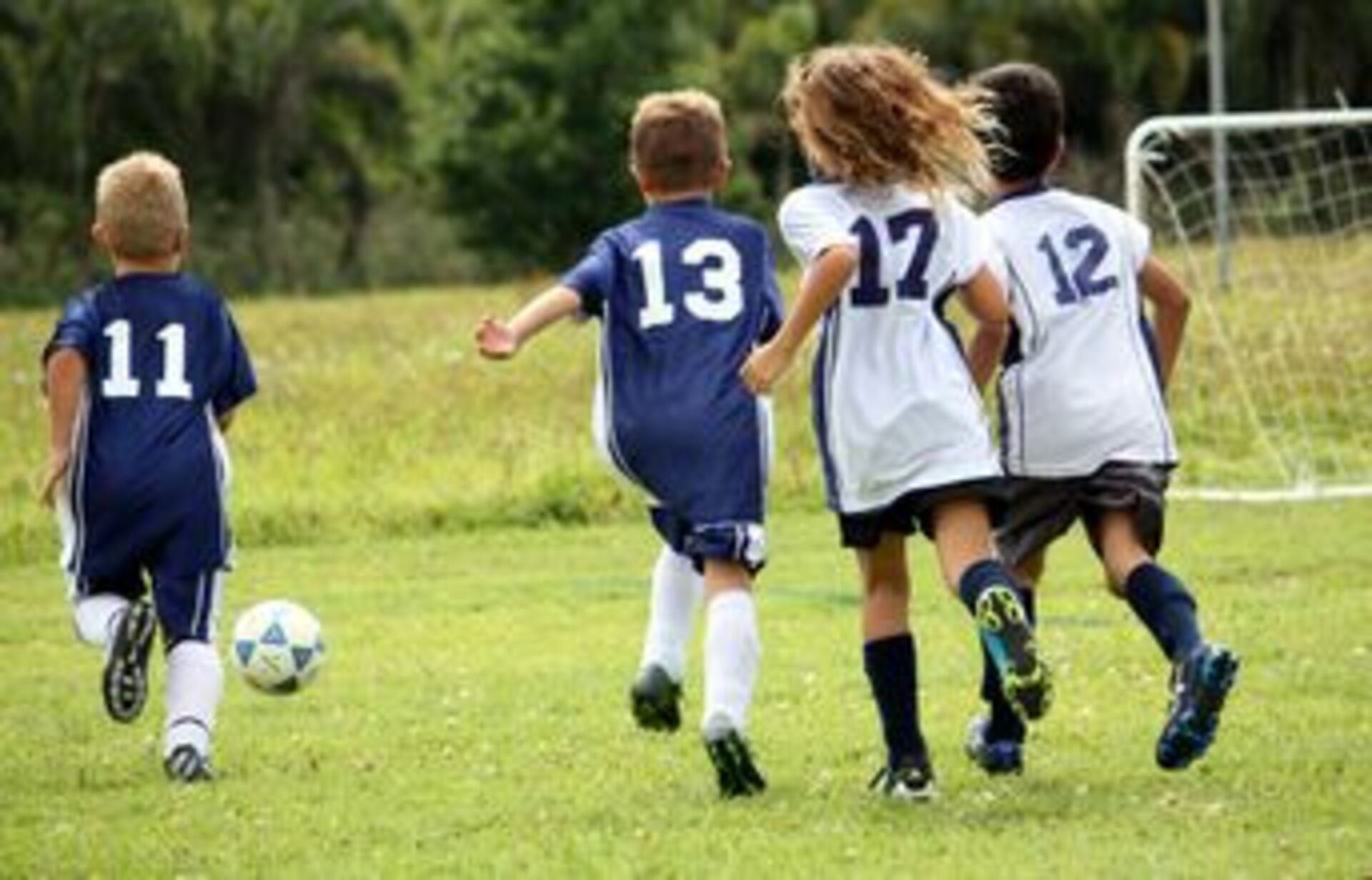 Sports Series: Soccer (Football) example photo