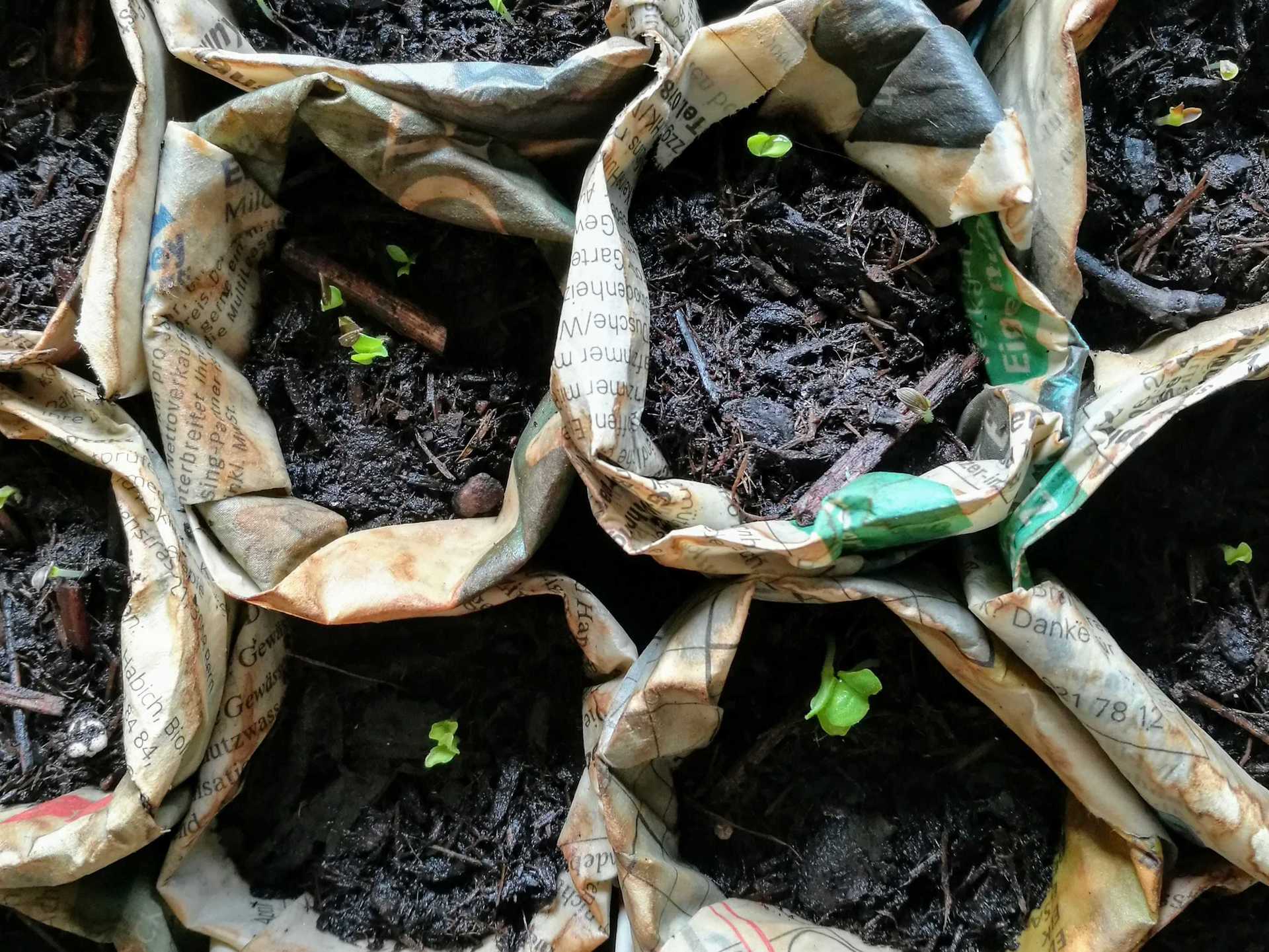 Plastic Free Living example photo