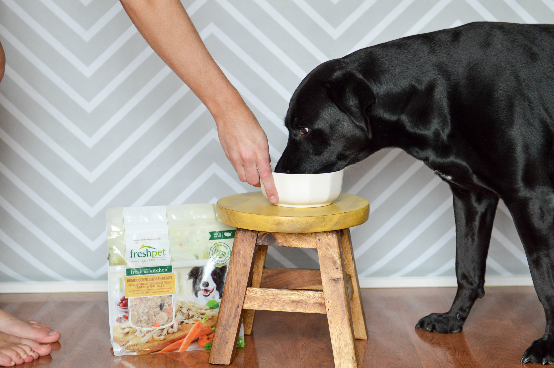 Freshpet - the real fresh pet food! example photo