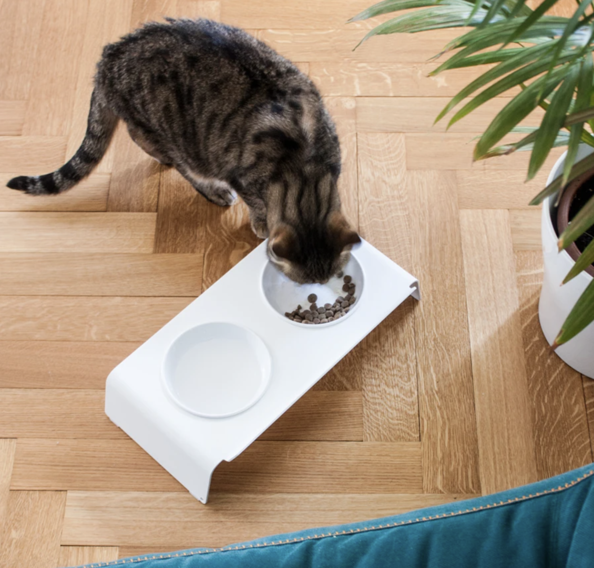 Duo Dining Station example photo