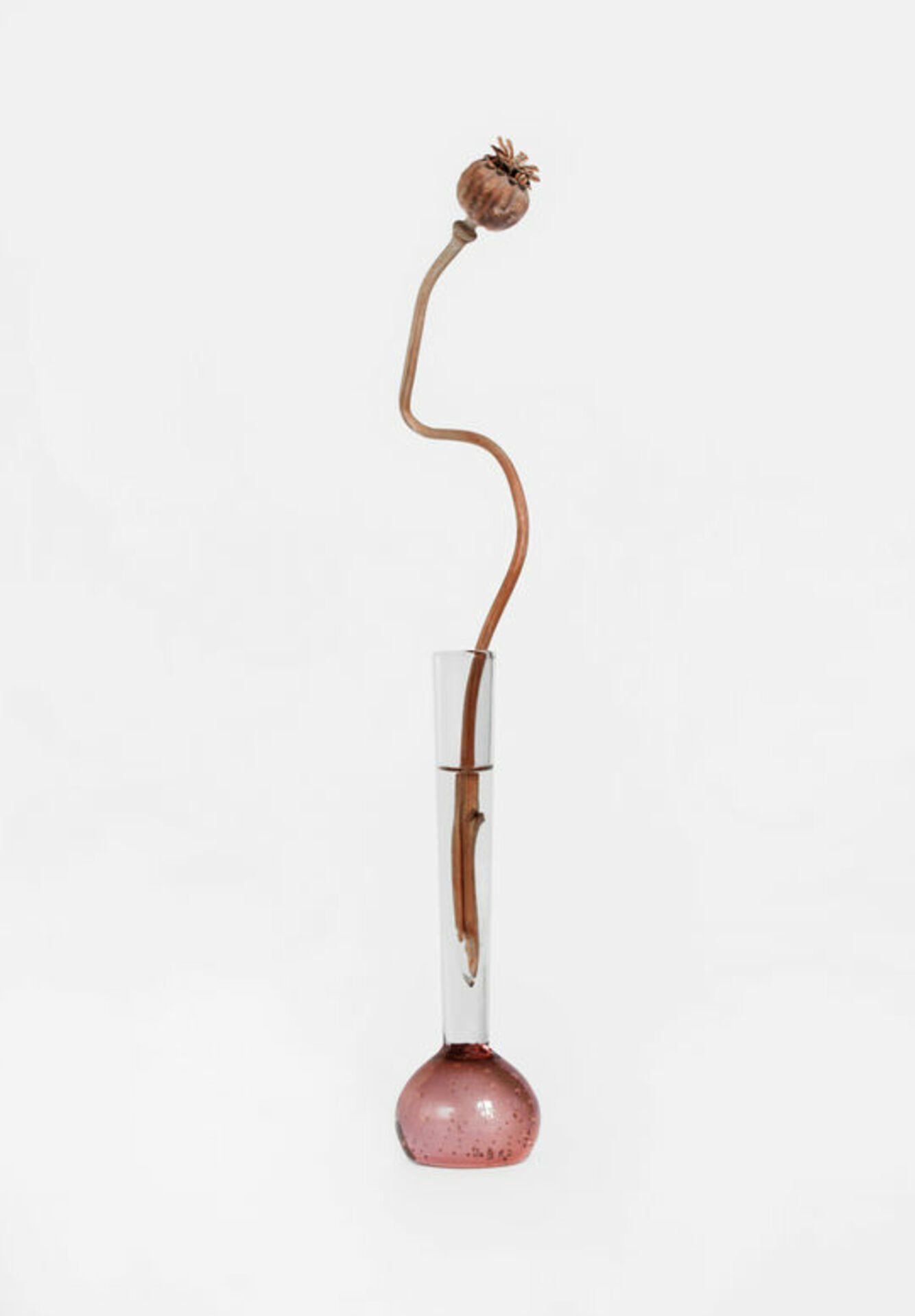 Flowers in a Vase example photo