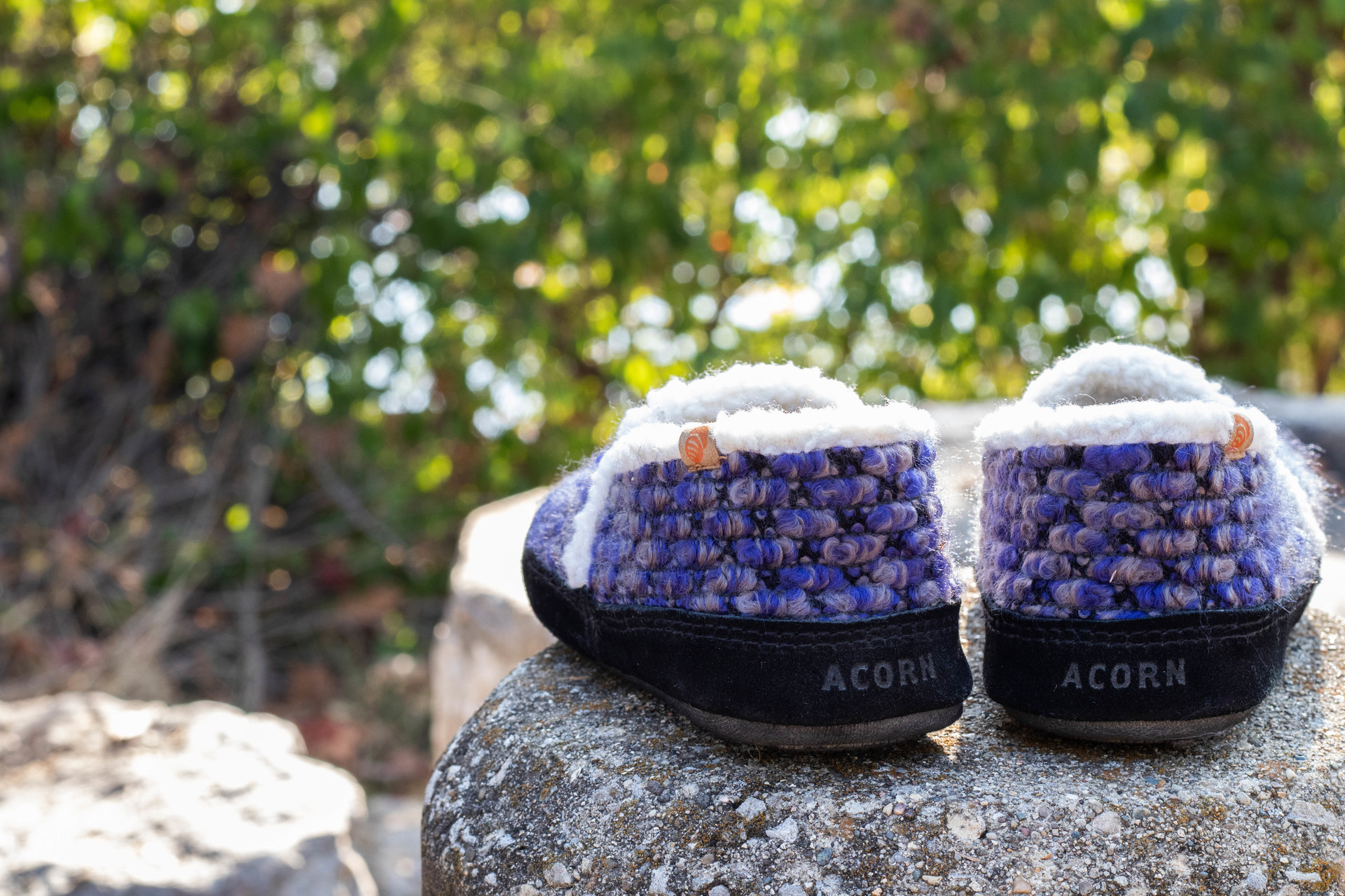 Spring in Nature example photo