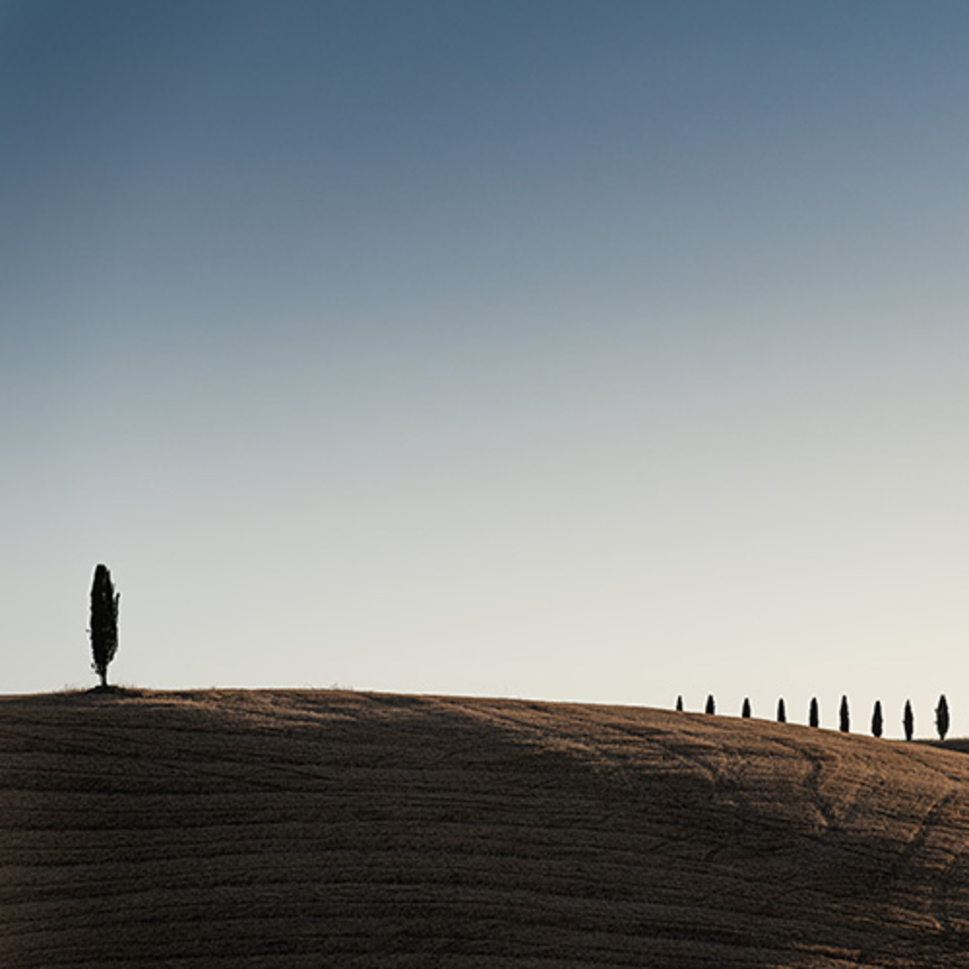 Mobile Series: Landscape example photo