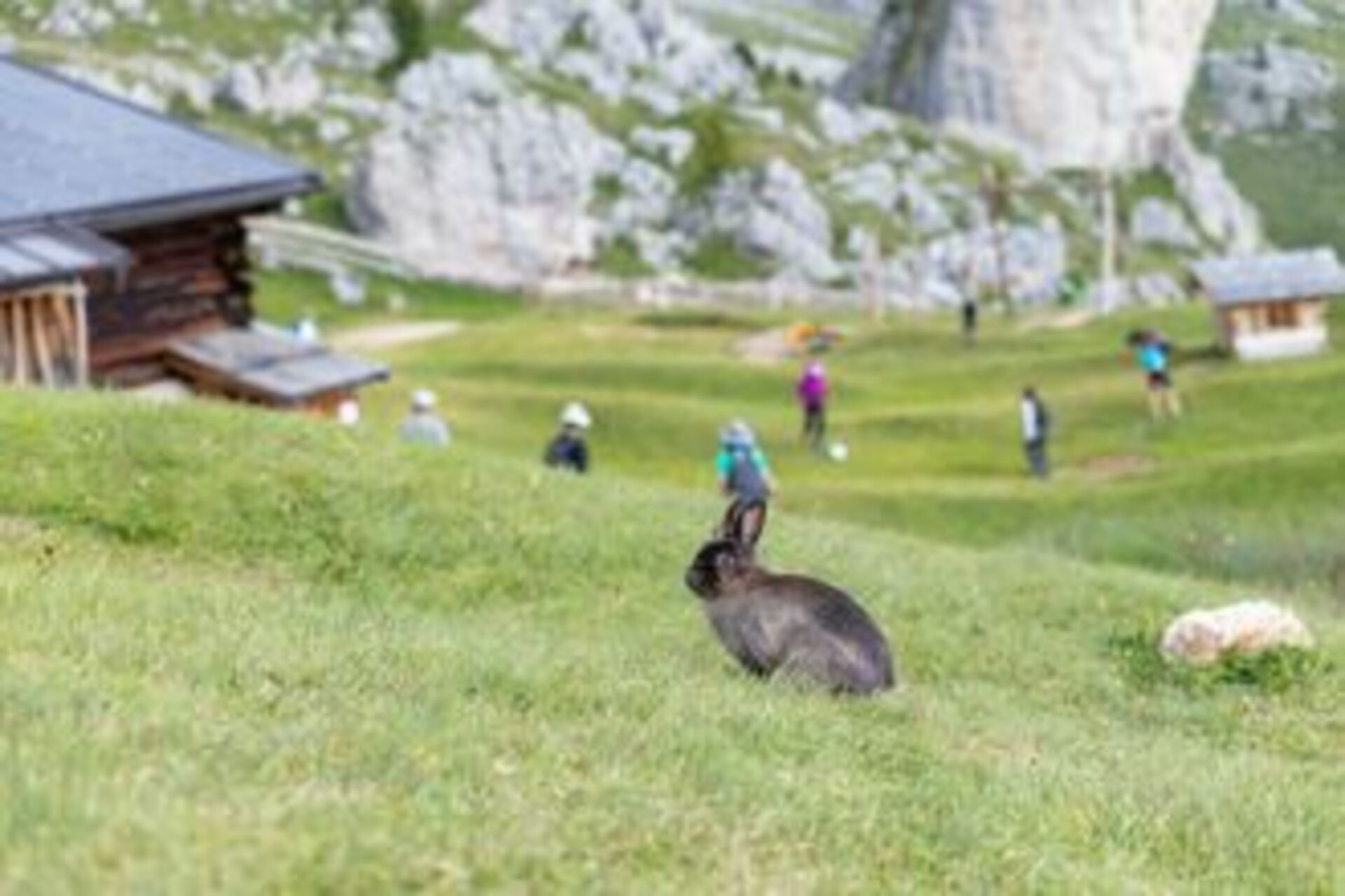 Vacation Series: Mountains example photo