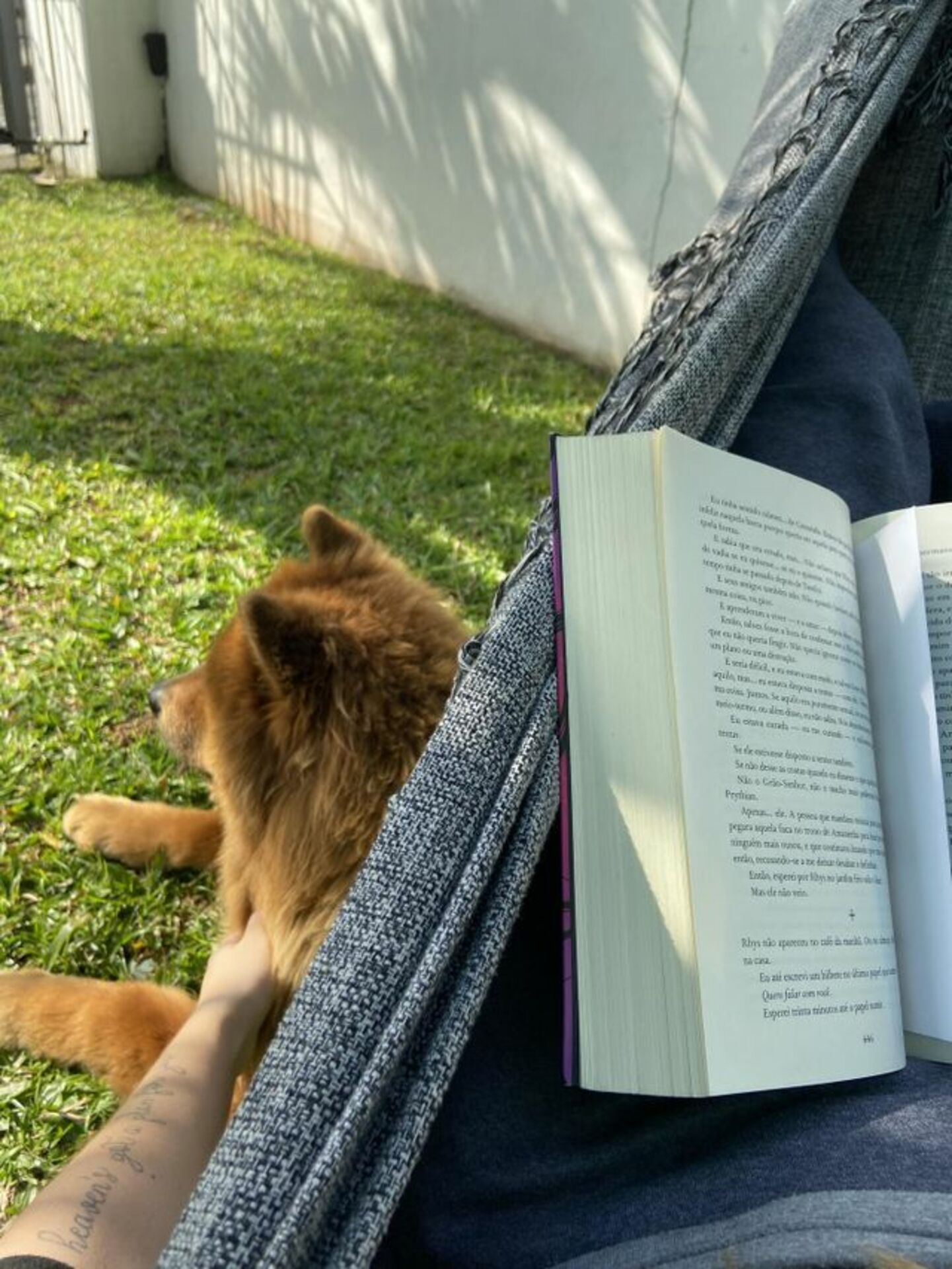 ⏰Quick Mission: What do you see? (Everybody Wins) example photo