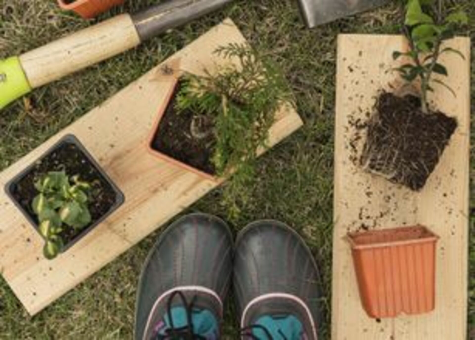 📸  Battle: Summer 🌞 vs. Spring 🌸 example photo