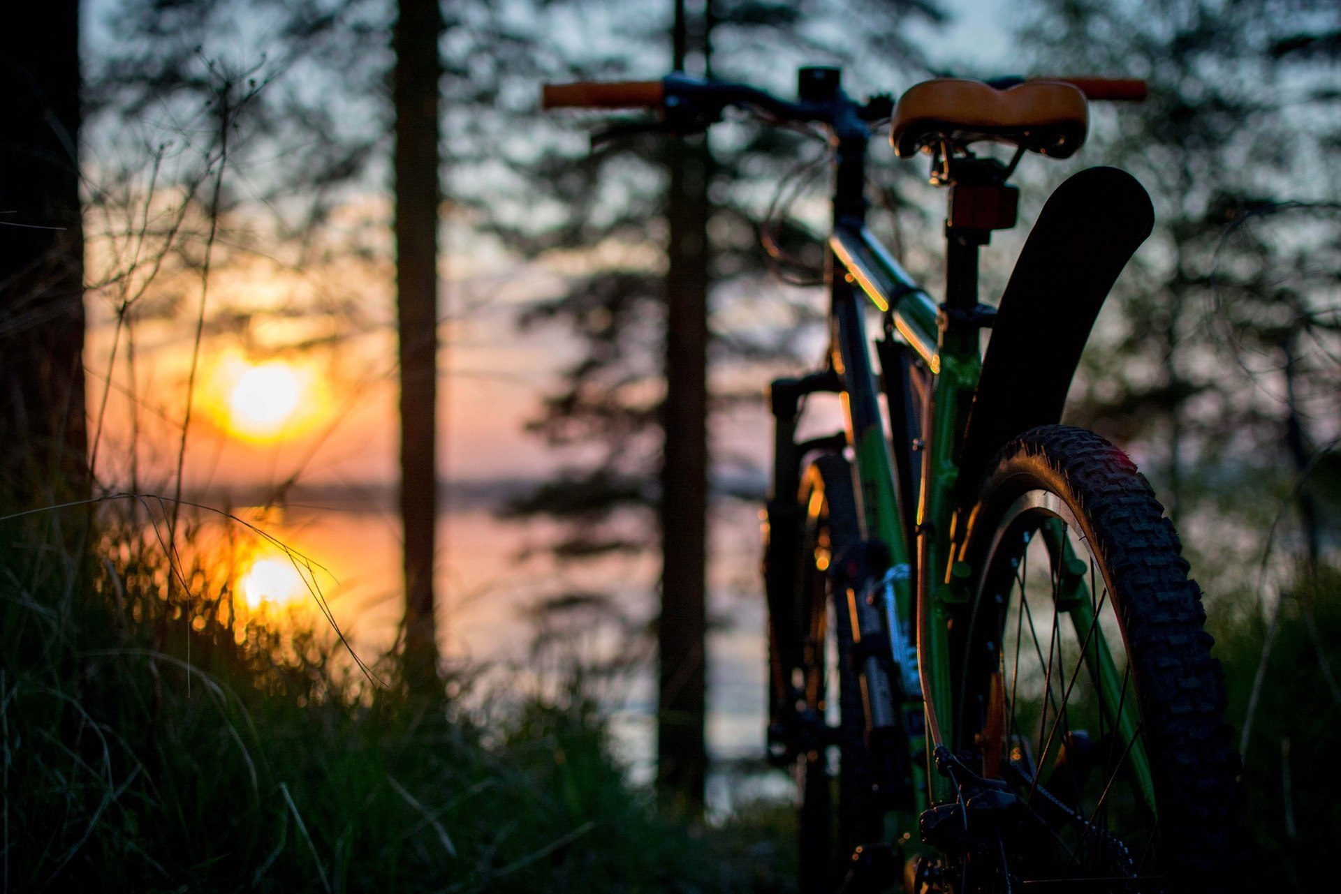 Cycling Week: Do you love your bicycle? example photo