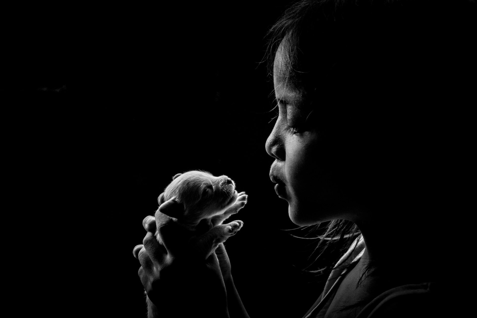 Kids' Week: Kids and Animals example photo