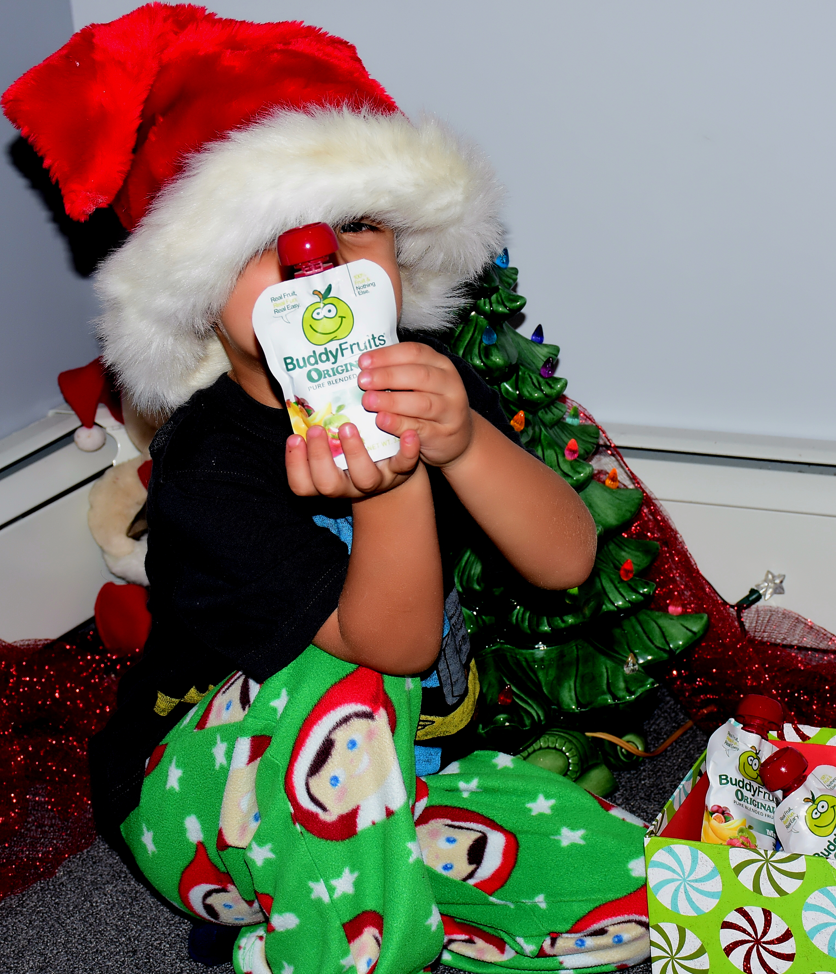 Holiday season with Buddy Fruits example photo