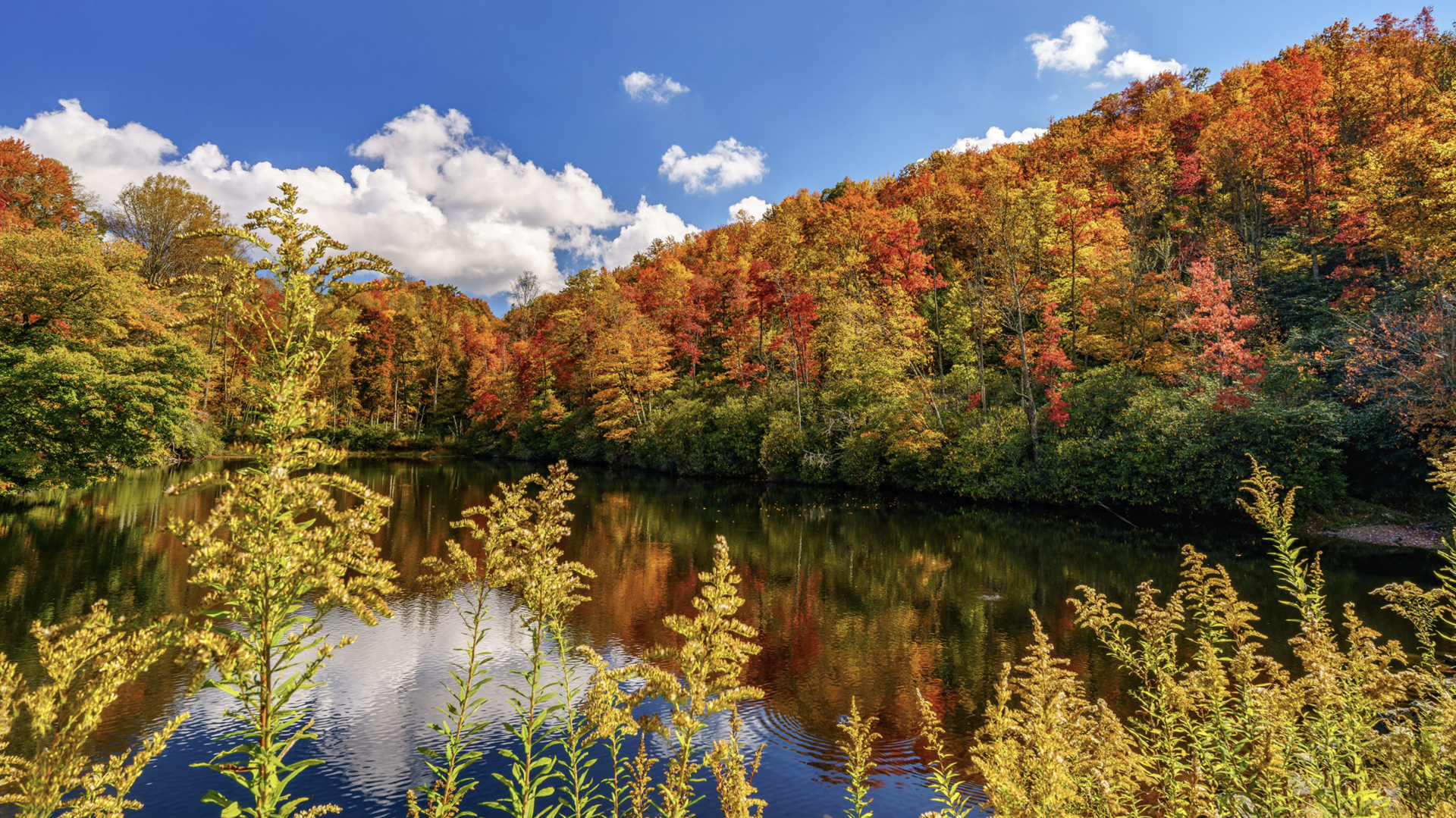 Get on the road with TomTom - Western Germany example photo