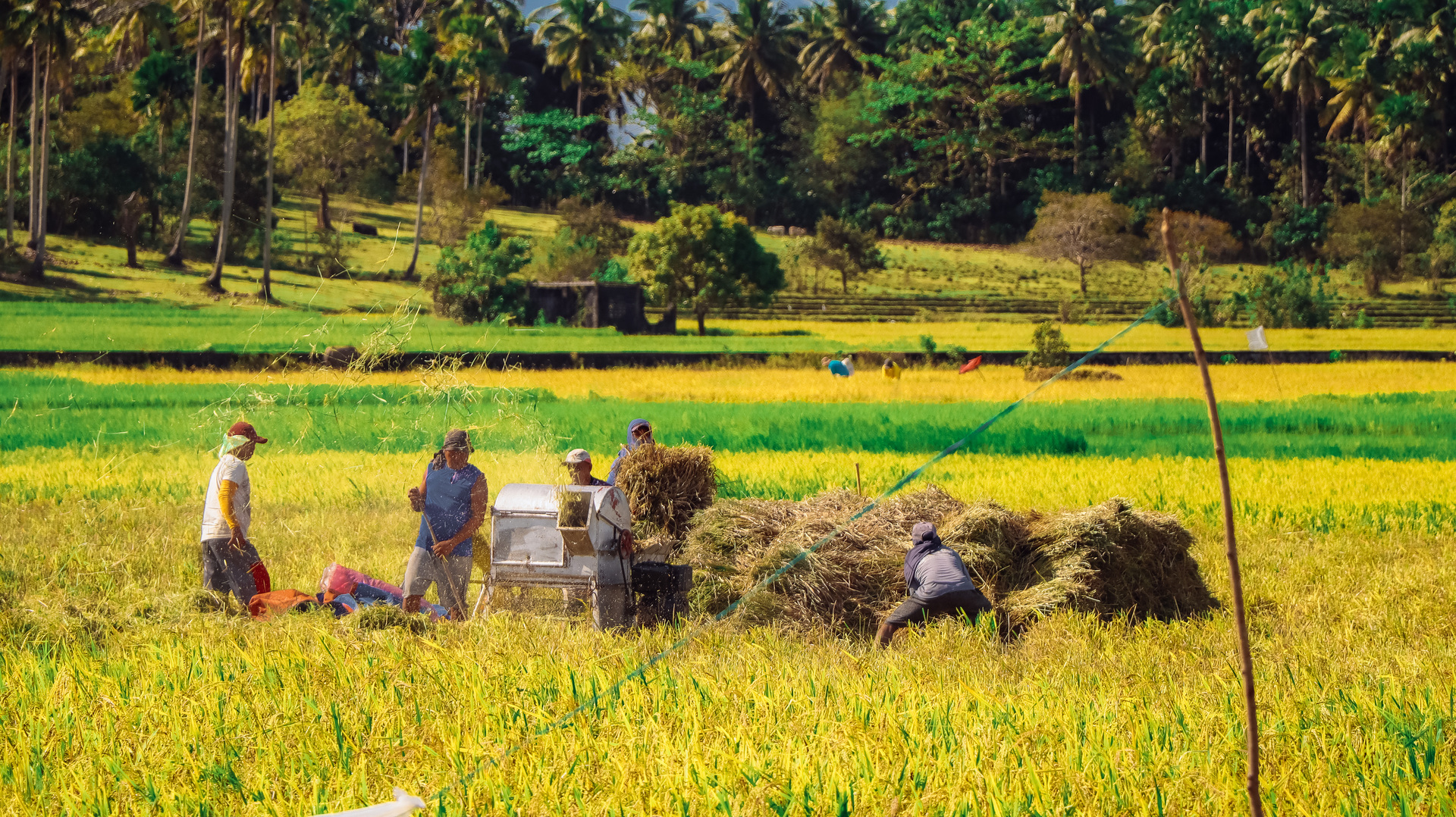 Upload Photo of the Week    example photo