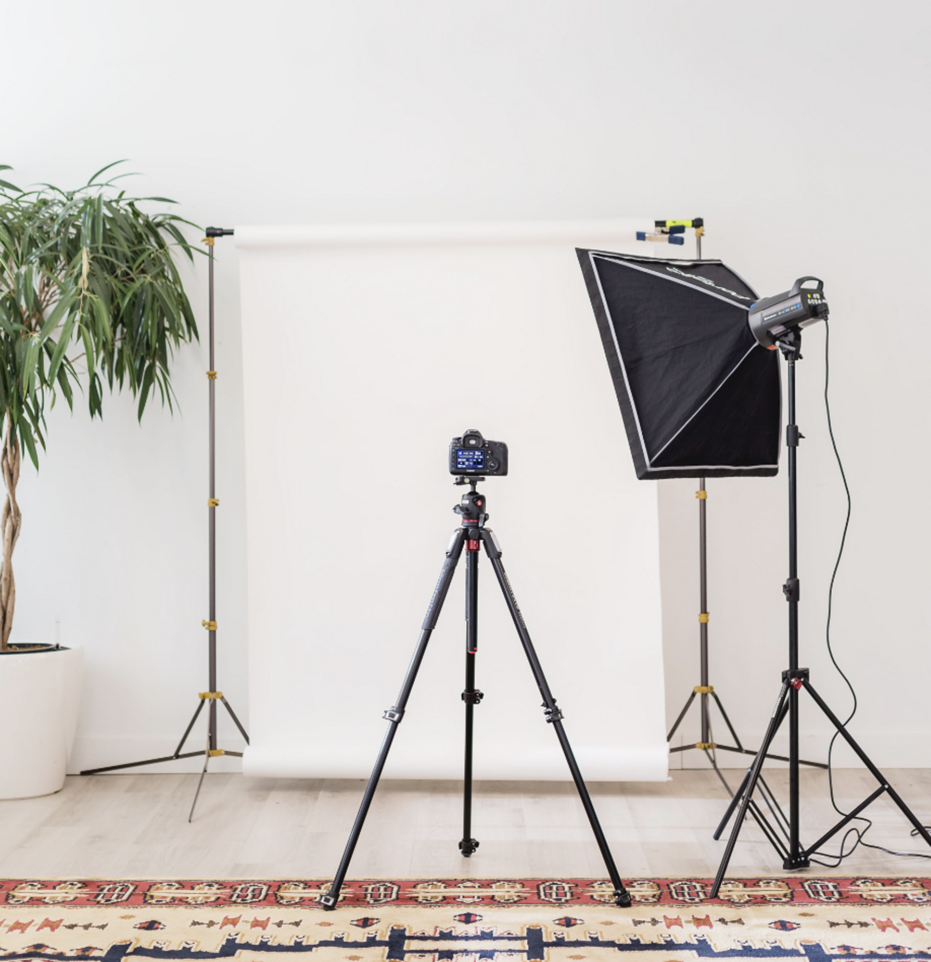 The Foap Show example photo