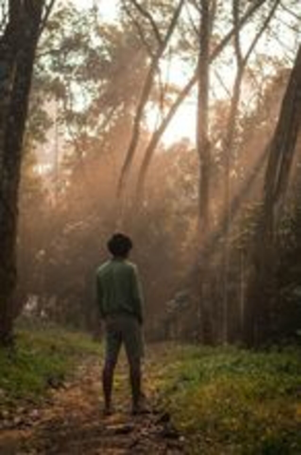 Enchanted Lens: Exploring the Magic Forest example photo