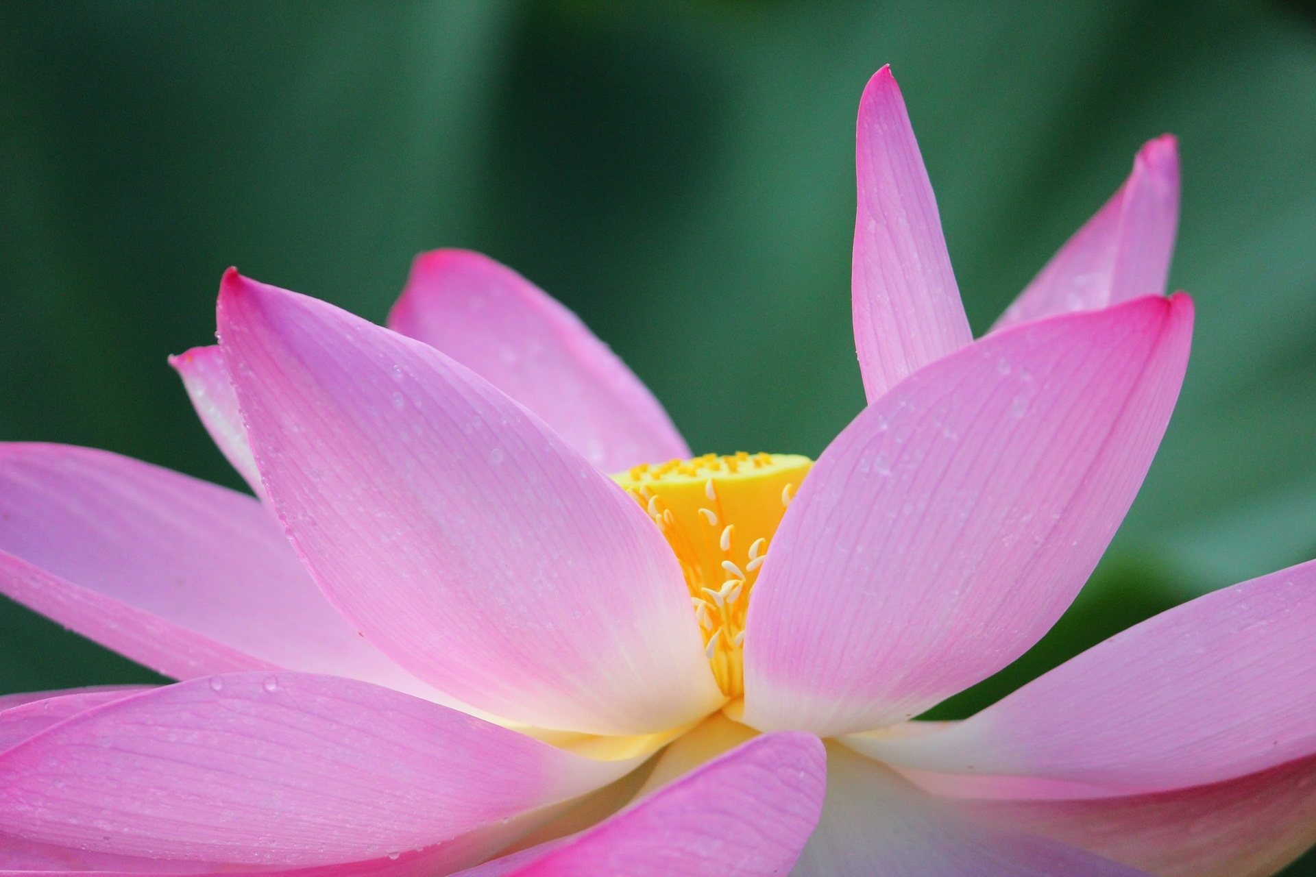 Editors' Choice: Photo of the Week example photo