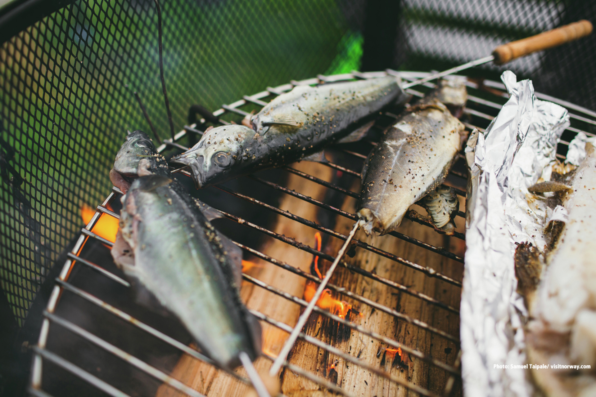 Summer activities in Norway example photo