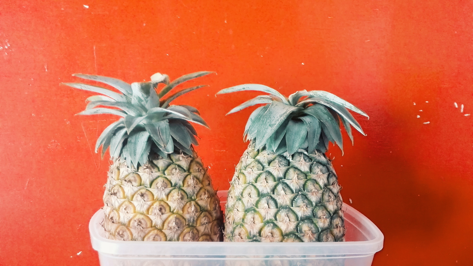 Fruity fruits! example photo